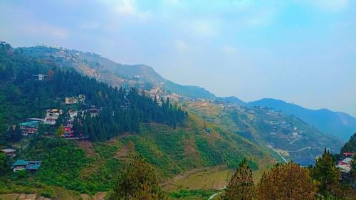 Mussoorie House | The Pine Of Golden Home Stay