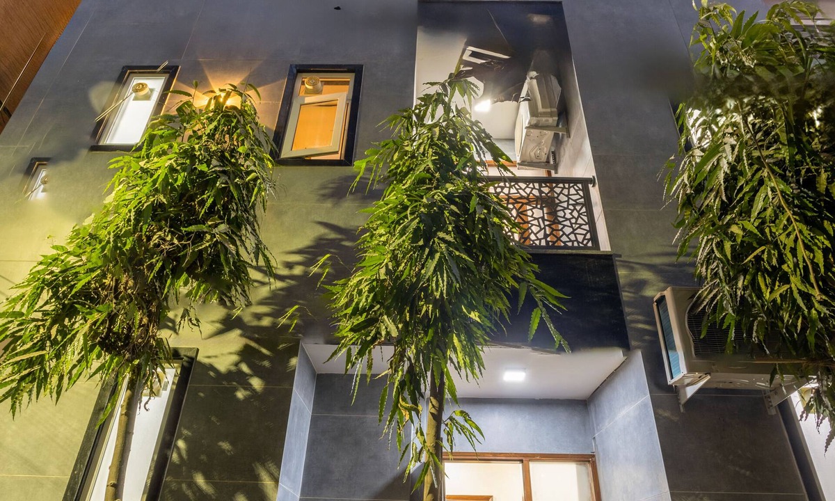 Old Rajinder Nagar Resort | The Royal Stay