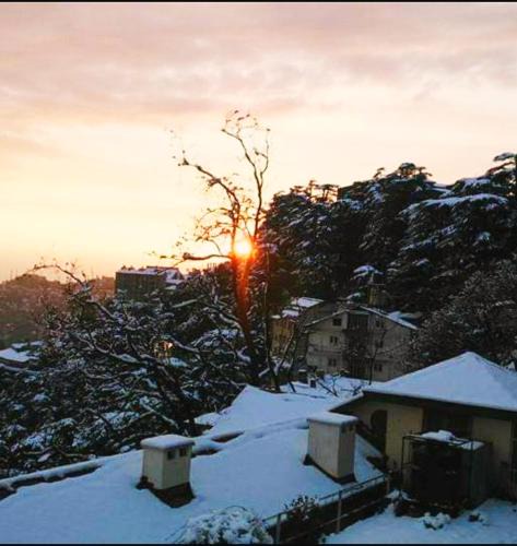 Shimla Bed & Breakfast | The Thistle Lodge