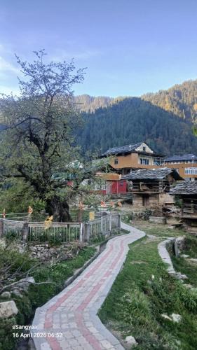 Jibhi Cabin | The Wild Pine Jibhi By sSangyaa
