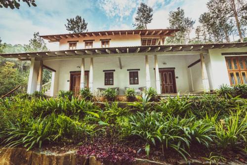 Yercaud Resort | Tree of Life Shambala, Yercaud