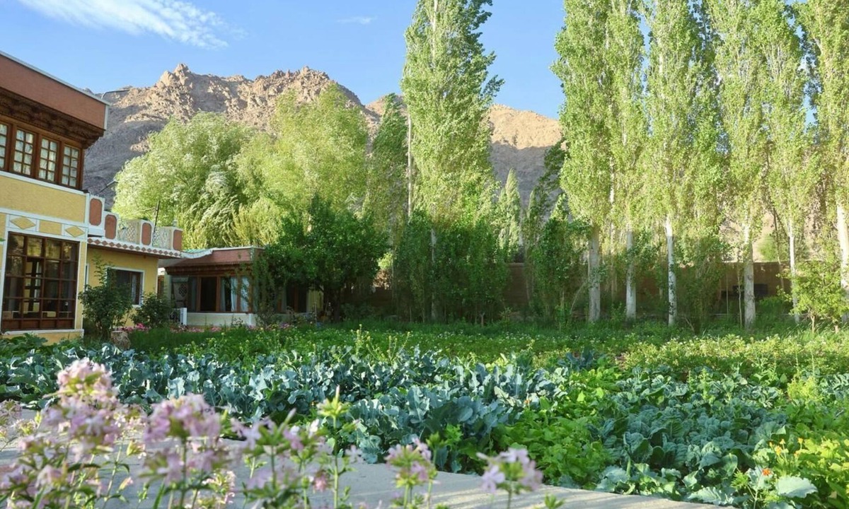 Leh Hotel | Trinity Home Stay