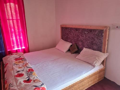 Nubra Valley Hotel | Wachan Guest House Hunder, Nubra Valley