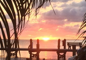 Beautiful Modern Studio, recently remodeled, new to the market, Summer Sea 405 in Islamorada
