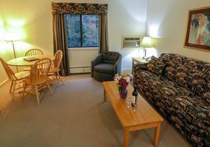 Efficiency with Sleeper Sofa only 120 in KILLINGTON