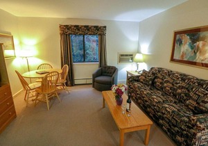 Efficiency with Sleeper Sofa only 214 in Killington