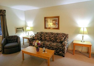 Efficiency with Sleeper Sofa only 214 in Killington