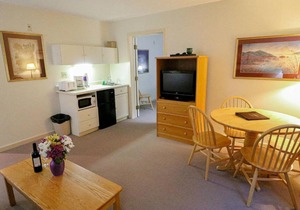 Efficiency with Sleeper Sofa only 214 in Killington