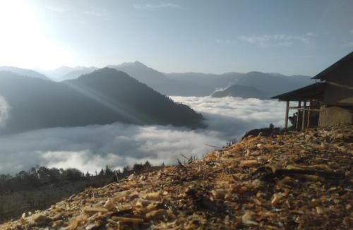 Banjar House | 360 view place homestay
