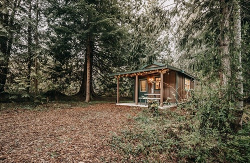 Maple Falls Cabin | 72MF - Rustic - Pets Ok - Sleeps 2 by RedAwning