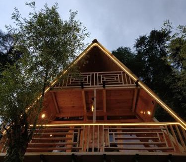 Banjar House | A frame cottage jibhi