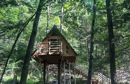 Benezette Cabin | A-Frame Tree House , 2 min fro the Elk center
