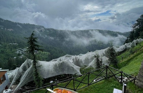 Kufri Ski Chalet | A-Frame Villa Kufri - Forest Stay + Bonfire