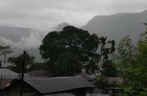 Alipurduar Cabin | Aaltapori Homestay