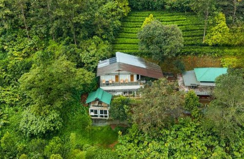 Kunchithanny Villa | Alaya Stays Kayyath Valley 4-BHK Villa With Scenic Mountain View , Private Outdoor Pool, Gym And In-House Tea Garden