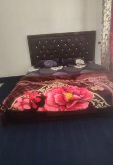 Dal Lake House | Alif inn home stay