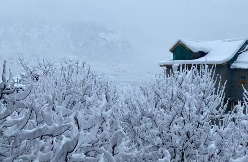 Manali Bed & Breakfast | Alpine Bliss Cottage, Manali