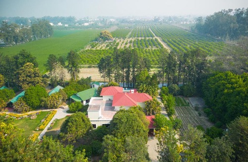 Hoshiarpur Villa | amã Stays & Trails, Citrus County, Hoshiarpur
