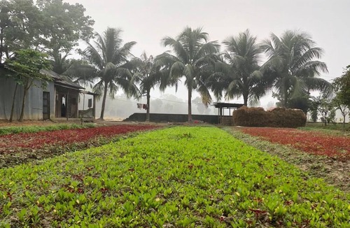 Sylhet Villa | Aminvilla resort - family stay to explore Sylhet