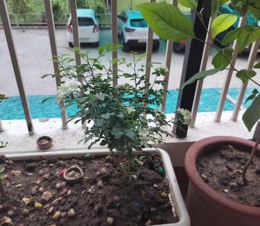 Zirakpur Apartment | AMYRA Apartment