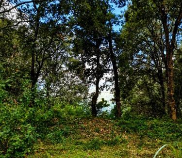 Bhimtal Hotel | Aranya Tara