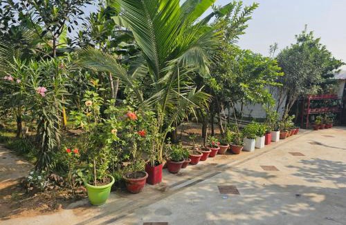 Bolpur House | Asian Grand Villa