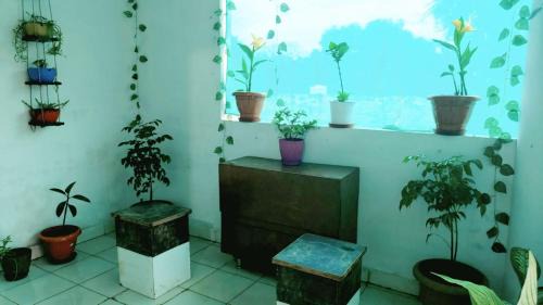 Bilaspur Apartment | Avenaa 2BHK Flat The Cozy Crest Bilaspur