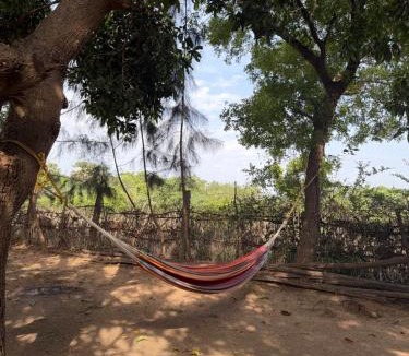 Auroville House | Avora Auroville