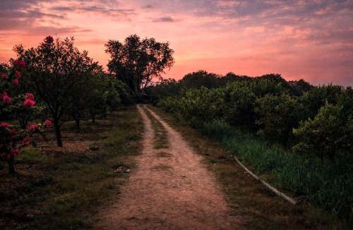 Bhanpura House | Bapna Farms- Farmstay in Bhanpura Gandhisagar region