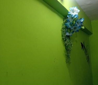 Almora House | Bhaichara DEVBHUMI homestay