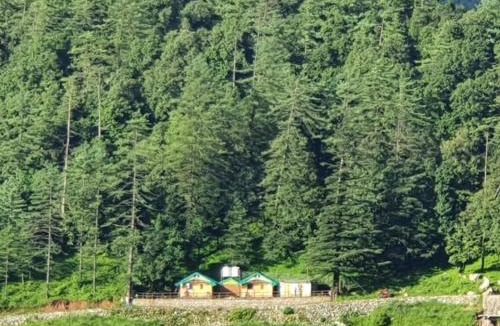 Pangot Cabin | Bluepine Cottages Pangot by Nature Nests