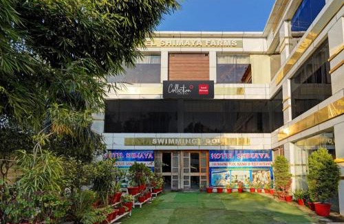 Dehradun Hotel | Capital O Shimaya