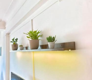 Aundh Apartment | Celestial crest