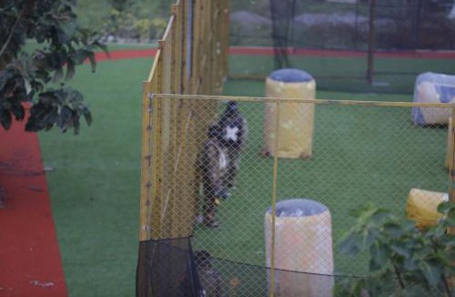 Hosur Other | Champions Ranch