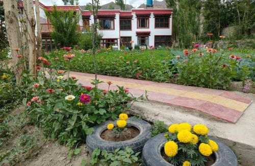 Leh House | Chamspal zotpa home stay