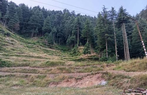 Dalhousie House | Cloud Culture Homestay