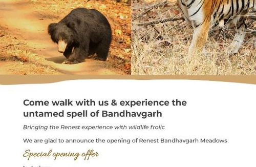 Umaria Resort | Club Mahindra Bandhavgarh Meadows