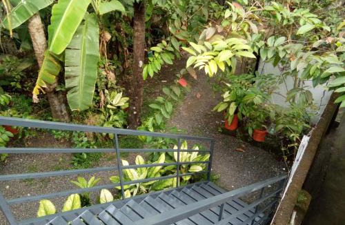 Fort Kochi House | Coconut Grove