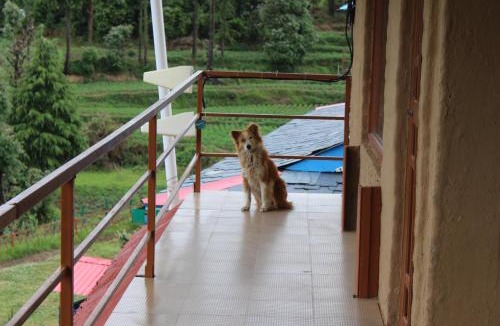 Jogindarnagar Bed & Breakfast | Colonel's Barot Highland Retreat