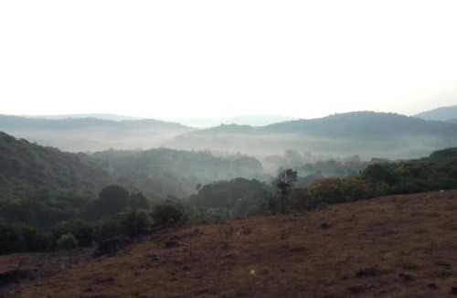 Madikeri Other | COORG CLlMATE FARM HOUSE