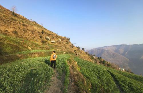 Bullawala Hotel | Corn Village Retreat