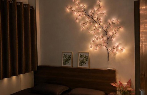 Indore Apartment | Cozy 1bhk by nestoria