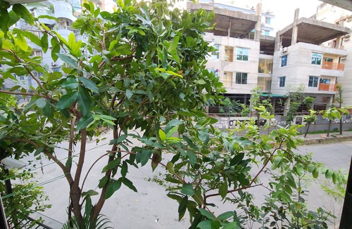 Basundhara Residential Area Apartment | Cozy AC bedroom Attached Washroom in Bashundhara