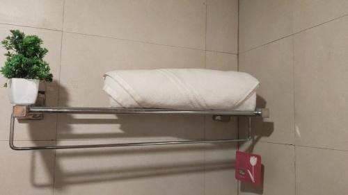 Greater Noida Apartment | Craviq Hotels & Resturant