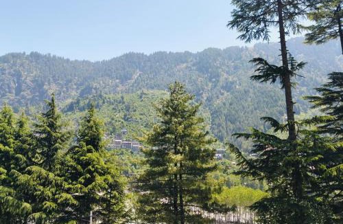 Manali Hotel | Crest Manali River View