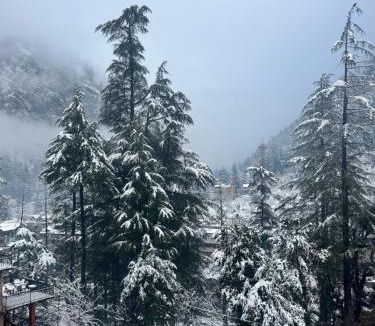 Kasol House | Delight Homestay