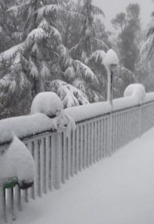 Shimla House | Deodar hill top home stay chail