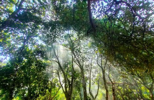 Rangamati Hill District Resort | Dhupchaya Nature Retreat