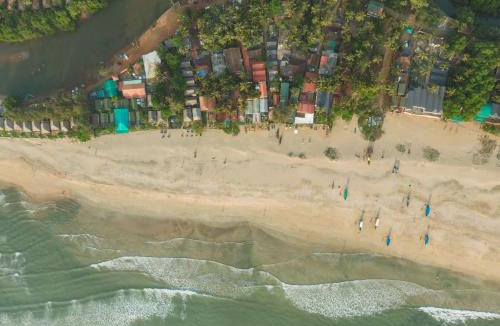 Agonda Other | DucknChill-Agonda