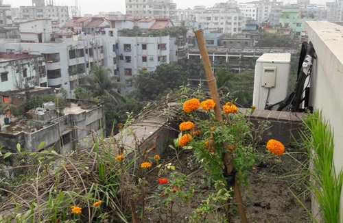 Dhaka Apartment | Econ Stay in New Apartment, Jigatola, Dhanmondi, Dhaka, Bangladesh